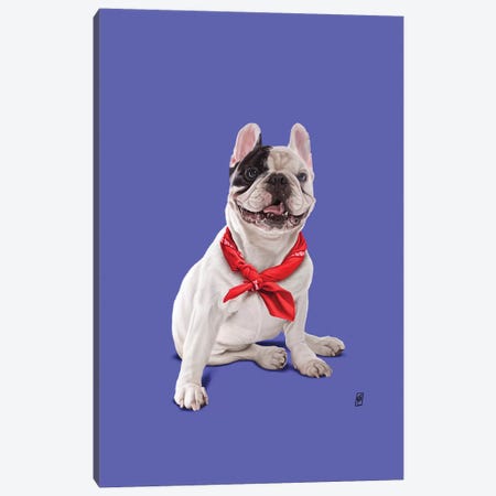Frenchie II Canvas Print #RSW310} by Rob Snow Canvas Print