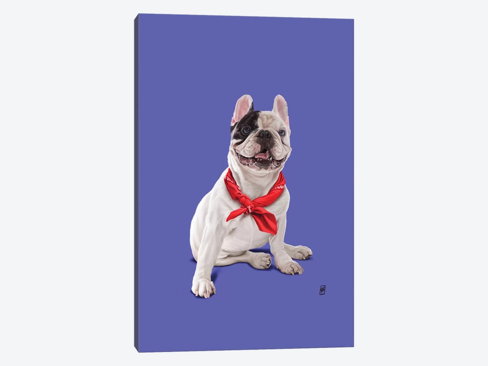 Frenchie II by Rob Snow 1-piece Canvas Wall Art