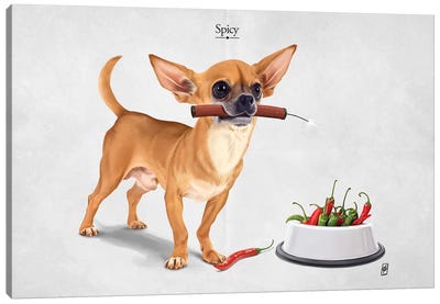Spicy I Canvas Art Print - Chihuahua Art