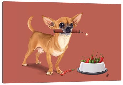 Spicy II Canvas Art Print - Chihuahua Art
