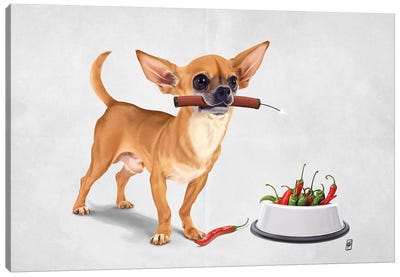 Spicy III Canvas Art Print - Chihuahua Art