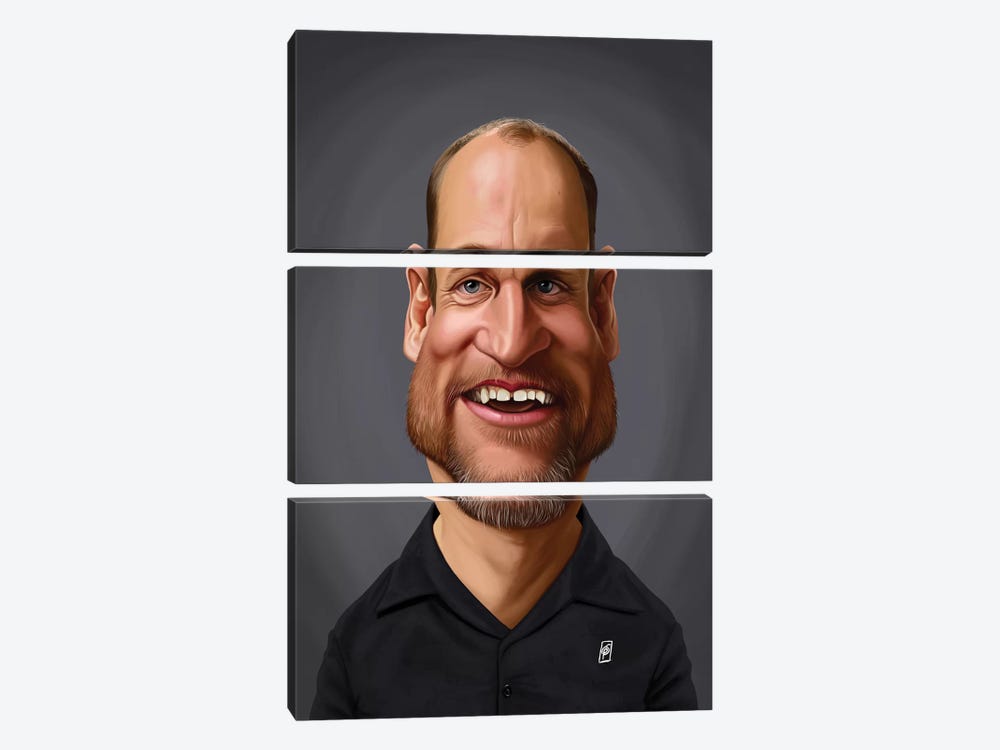 Woody Harrelson by Rob Snow 3-piece Canvas Wall Art
