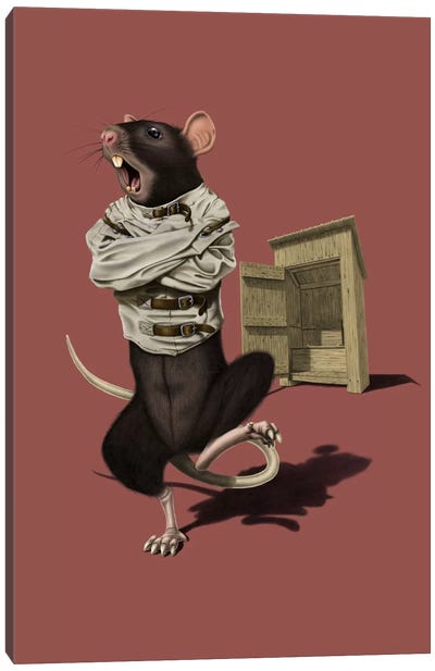 Shithouse III Canvas Art Print - Rats
