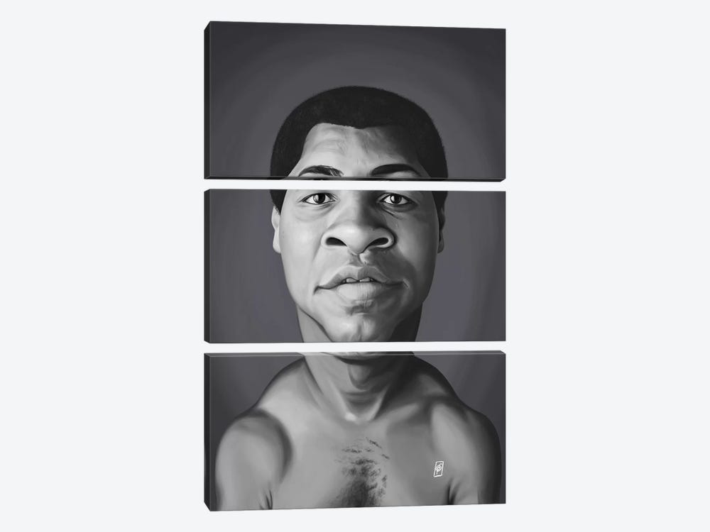 Muhammad Ali by Rob Snow 3-piece Canvas Art