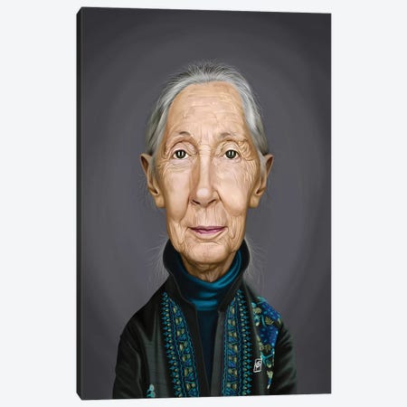 Jane Goodall Canvas Print #RSW345} by Rob Snow Art Print