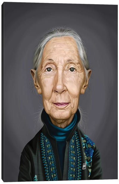 Jane Goodall Canvas Art Print - Rob Snow