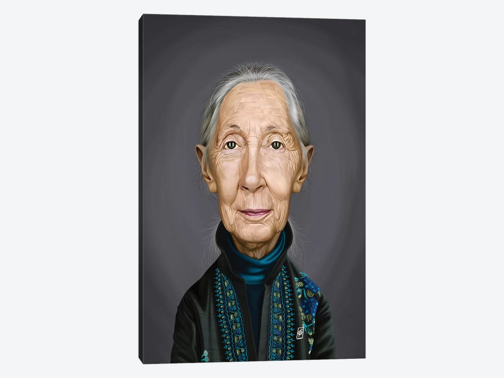 Jane Goodall by Rob Snow 1-piece Canvas Artwork