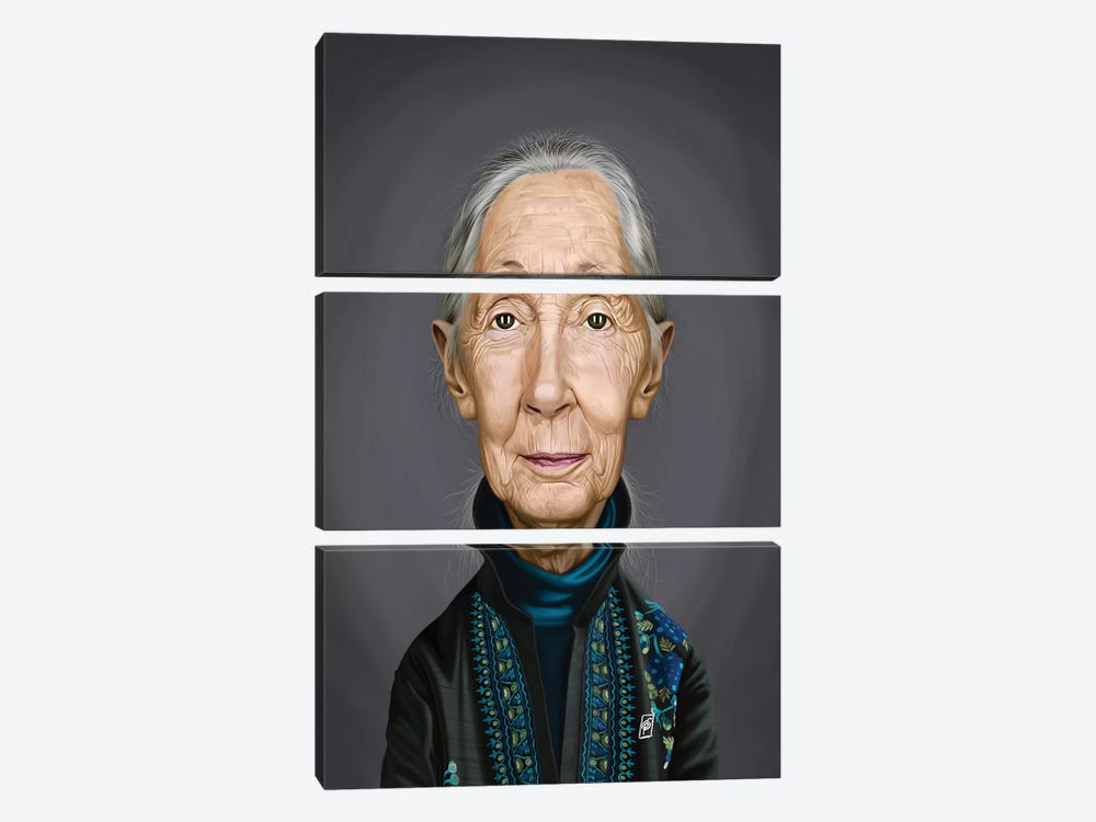 Jane Goodall by Rob Snow 3-piece Canvas Artwork
