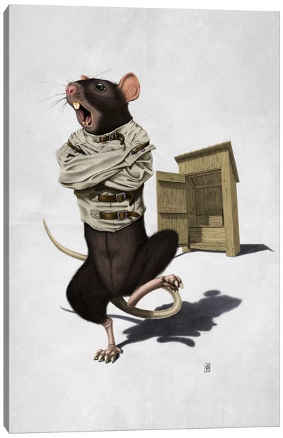 Shithouse II Canvas Art Print - Rats