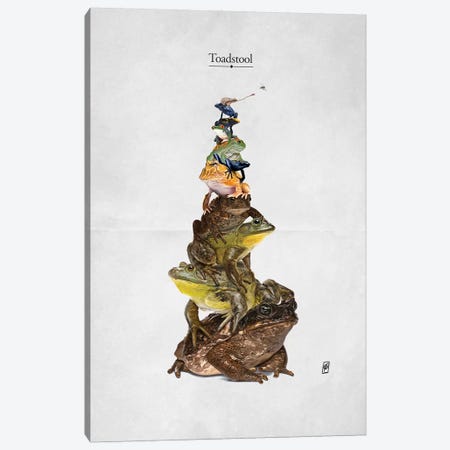 Toadstool Canvas Print #RSW366} by Rob Snow Art Print
