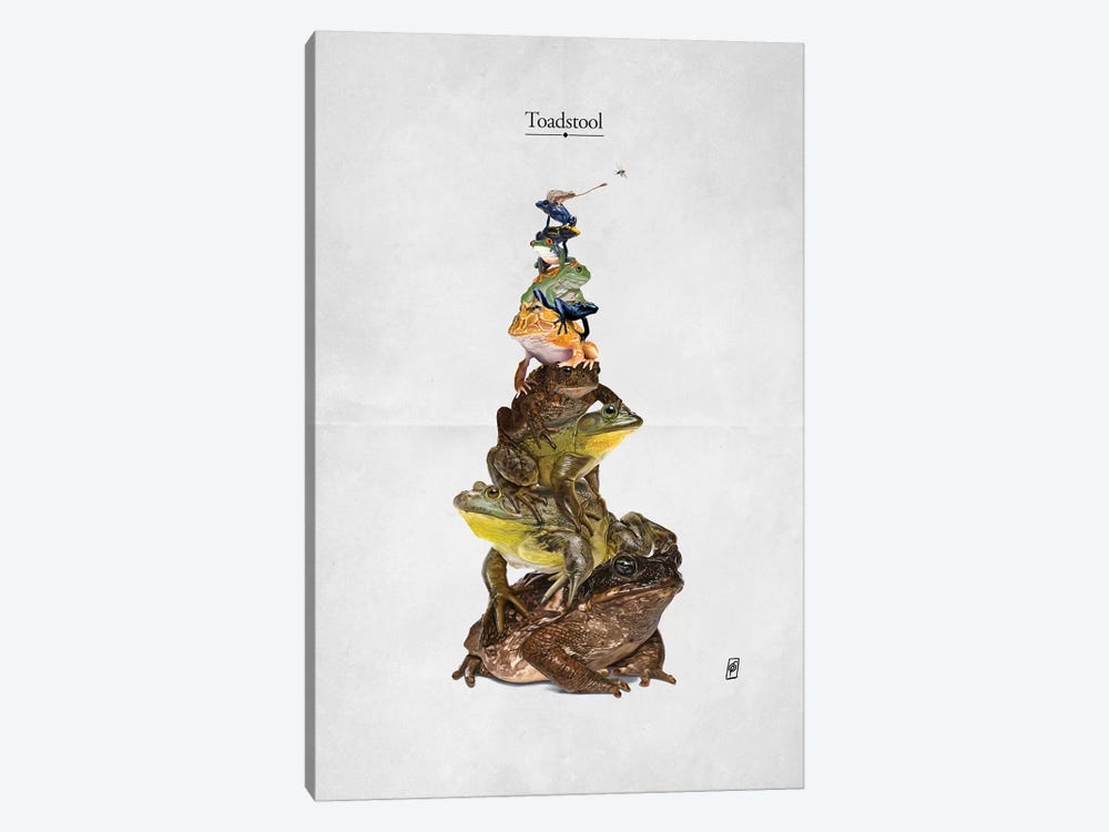 Toadstool by Rob Snow 1-piece Art Print