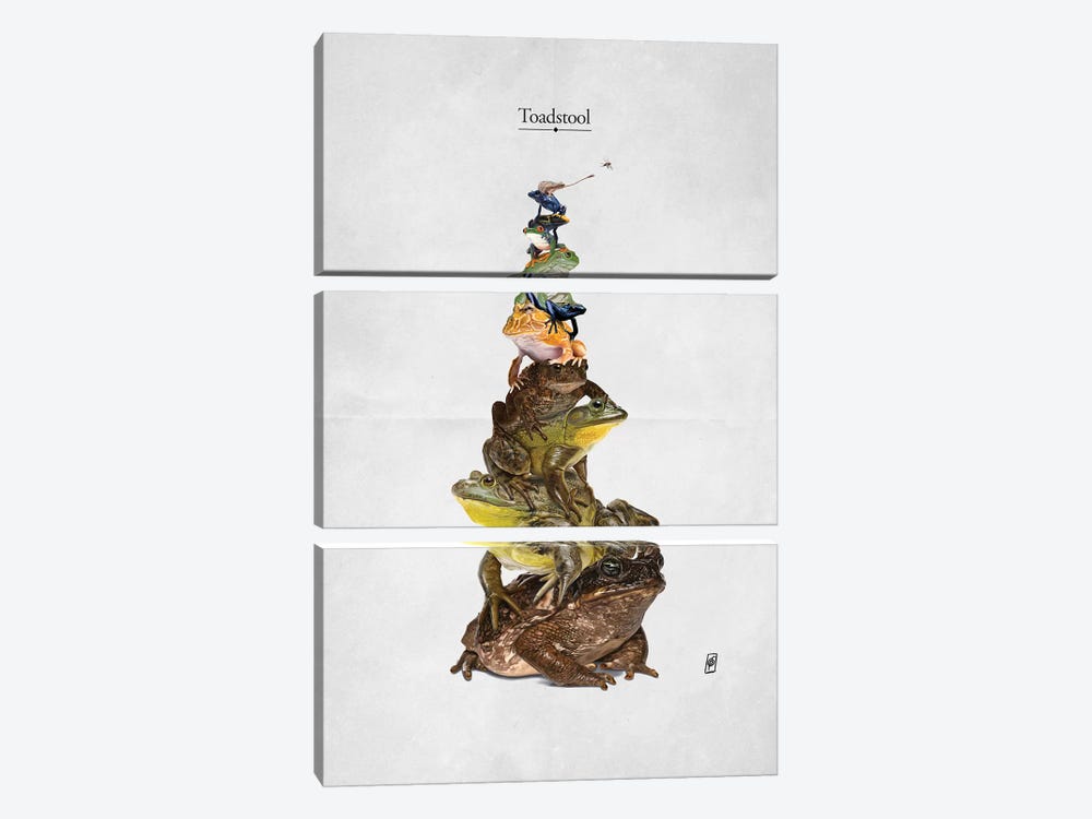 Toadstool by Rob Snow 3-piece Art Print