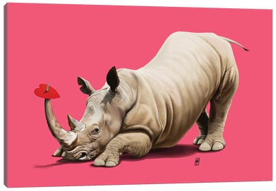 Horny (Colour) Canvas Art Print - Rhinoceros Art