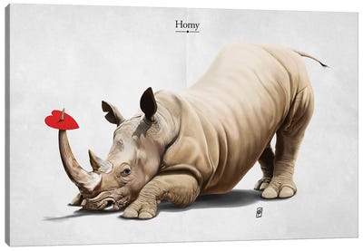 Horny Canvas Art Print - Rhinoceros Art
