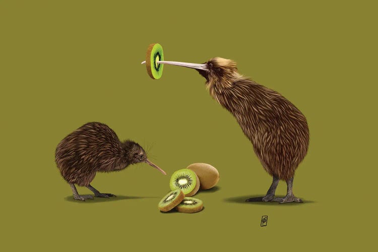 Kiwi (Colour)