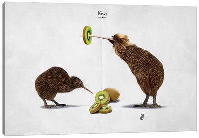 Kiwi Canvas Art Print - Rob Snow