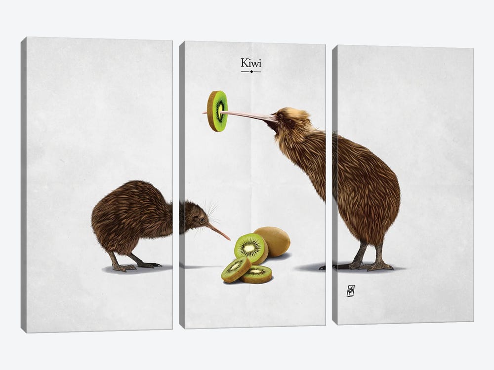Kiwi by Rob Snow 3-piece Art Print