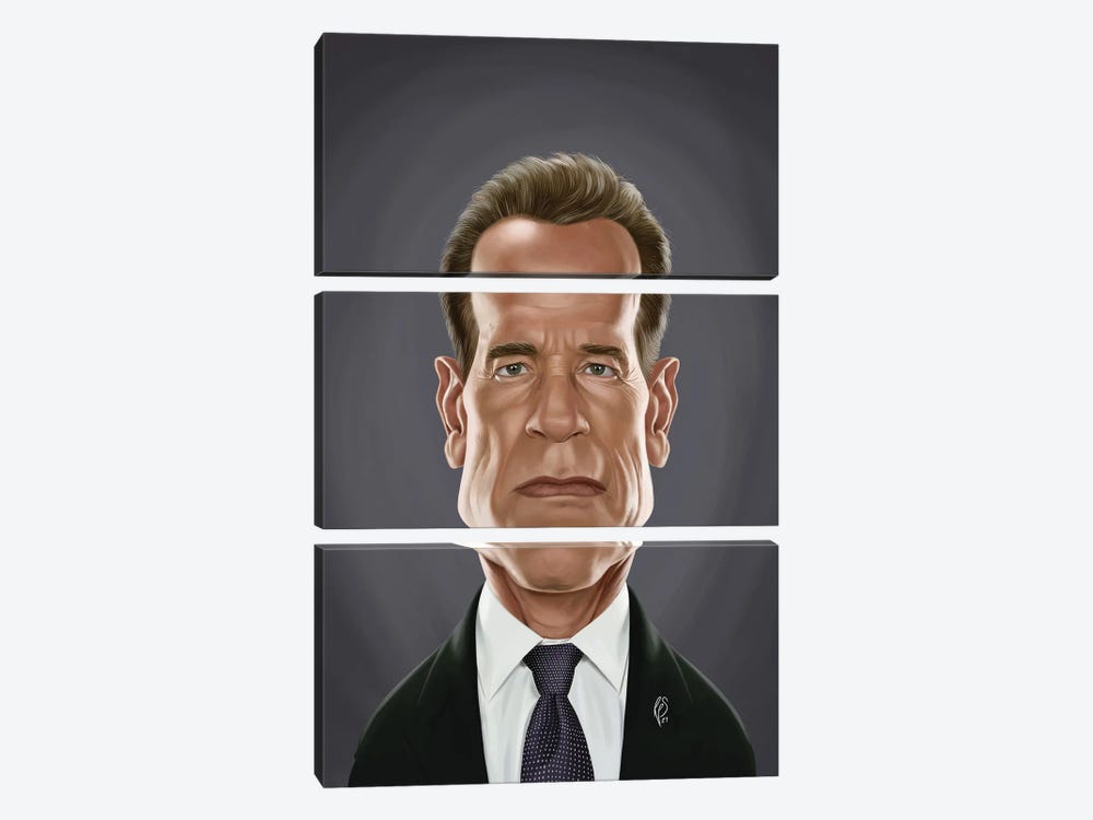 Arnold Schwarzenegger by Rob Snow 3-piece Canvas Wall Art