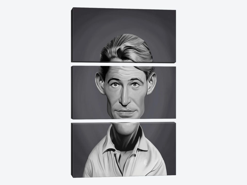 Peter O'Toole by Rob Snow 3-piece Canvas Print