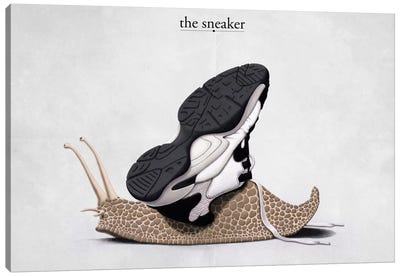 The Sneaker Canvas Art Print - Snail Art