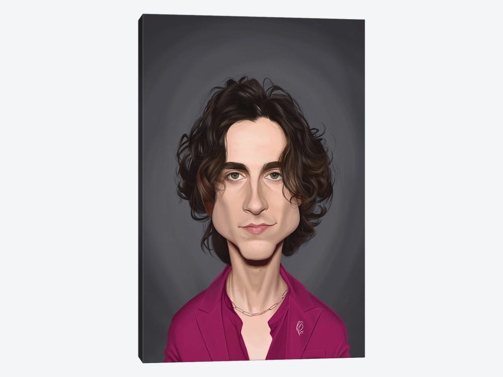 Timothee Chalamet by Rob Snow 1-piece Art Print