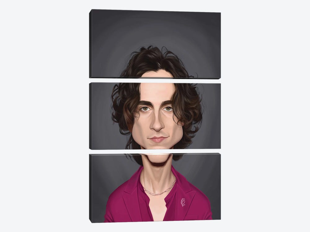 Timothee Chalamet by Rob Snow 3-piece Canvas Print