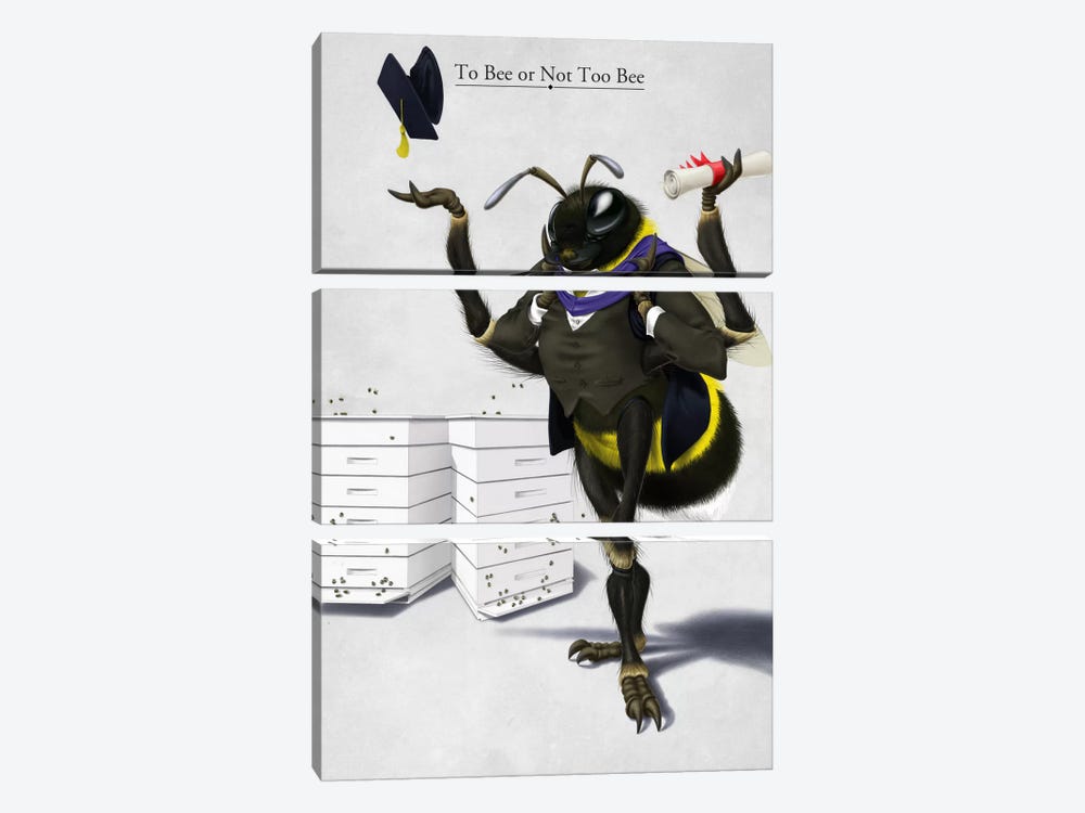 To Bee Or Not Too Bee by Rob Snow 3-piece Canvas Print