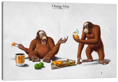 Orange Man I Canvas Art Print - Primate Art