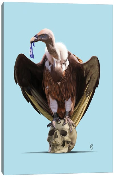 Extinction - Colour Canvas Art Print - Vulture Art