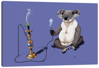 What A Drag! III Canvas Art Print - Koala Art