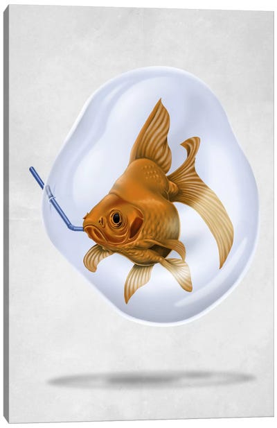 A Breath Of Fresh Air II Canvas Art Print - Goldfish
