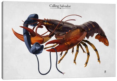 Calling Salvador Canvas Art Print - Lobster Art