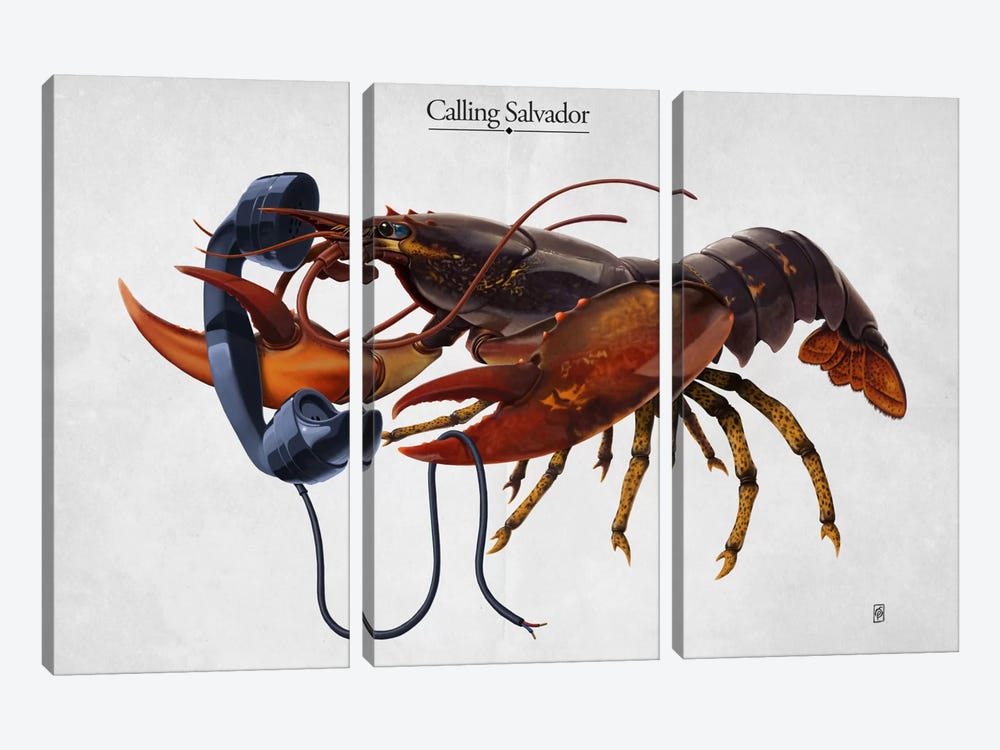 Calling Salvador by Rob Snow 3-piece Art Print