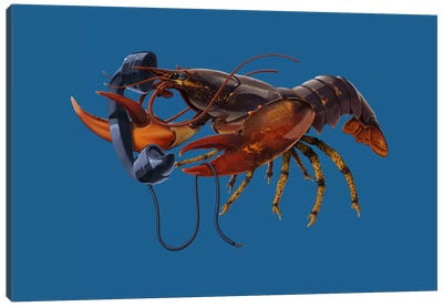 Calling Salvador III Canvas Art Print - Lobster Art