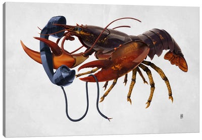 Calling Salvador II Canvas Art Print - Lobster Art