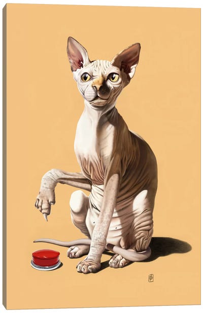 Cat-astrophe III Canvas Art Print - Rob Snow