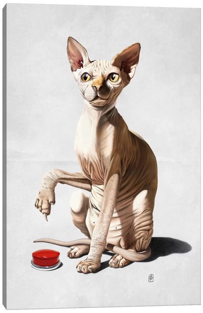Cat-astrophe II Canvas Art Print - Hairless Cat Art
