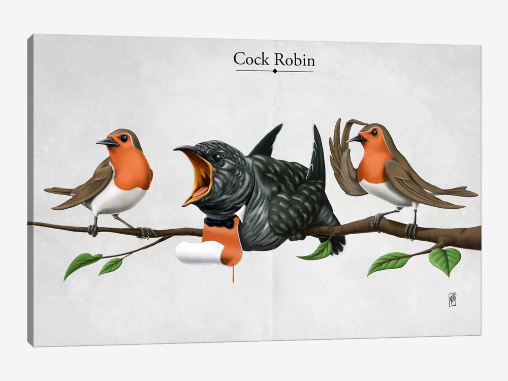 Cock Robin by Rob Snow 1-piece Canvas Artwork