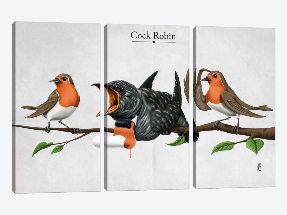Cock Robin by Rob Snow 3-piece Canvas Art