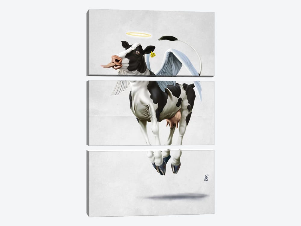 Holy Cow II by Rob Snow 3-piece Canvas Wall Art