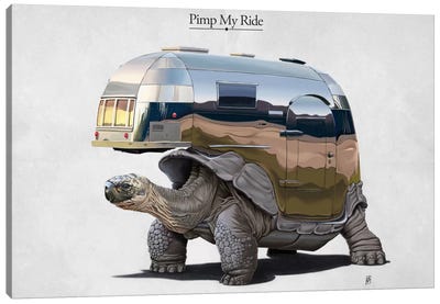 Pimp My Ride I Canvas Art Print - Turtle Art