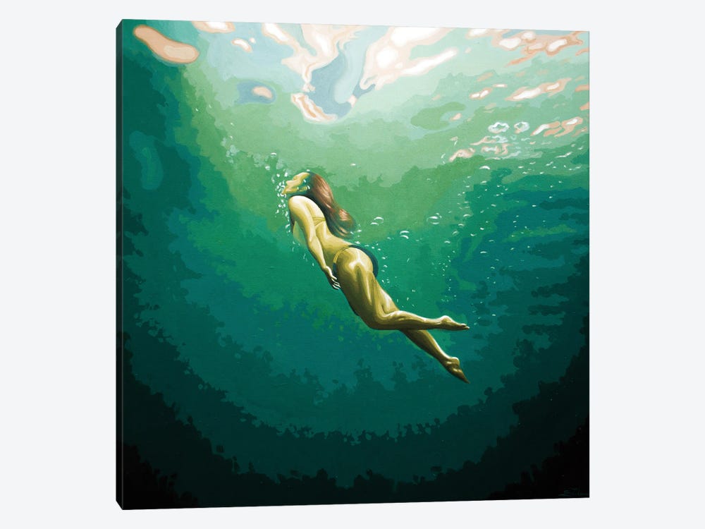 Immersion by Rosana Sitcha 1-piece Canvas Artwork