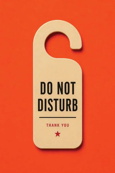 George Rosaly: Do Not Disturb by George Rosaly