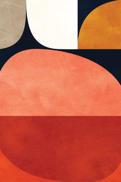 Mid Century Modern VI by Ana Rut Bré framed wall art