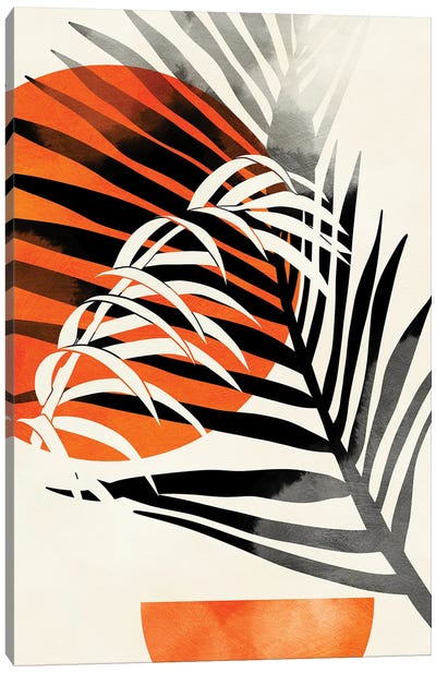 Palm Leaves Canvas Art Print - Ana Rut Bré