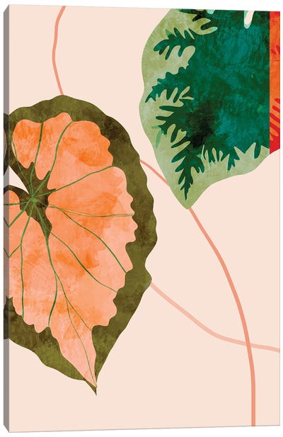 Tropical Leaves I Canvas Art Print - Ana Rut Bré