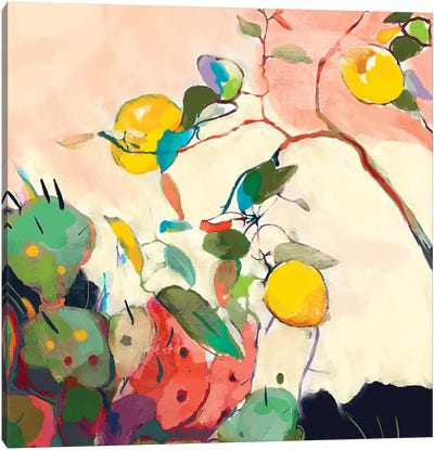 Lemon Tree Cacti Square Canvas Art Print - Ana Rut Bré