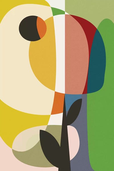 Mid Century Garden II by Ana Rut Bré framed wall art