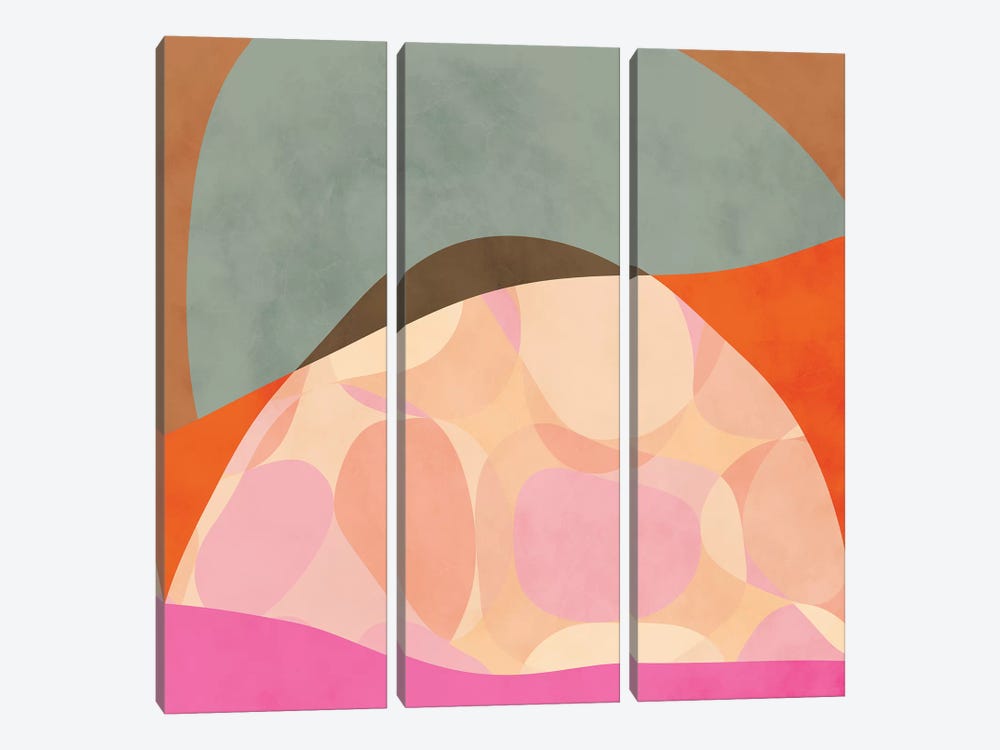 Shapes Study Tartaruga by Ana Rut Bré 3-piece Canvas Art