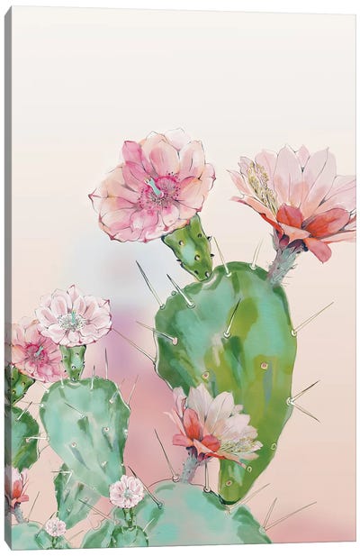 Cactus Canvas Art Print - Ana Rut Bré
